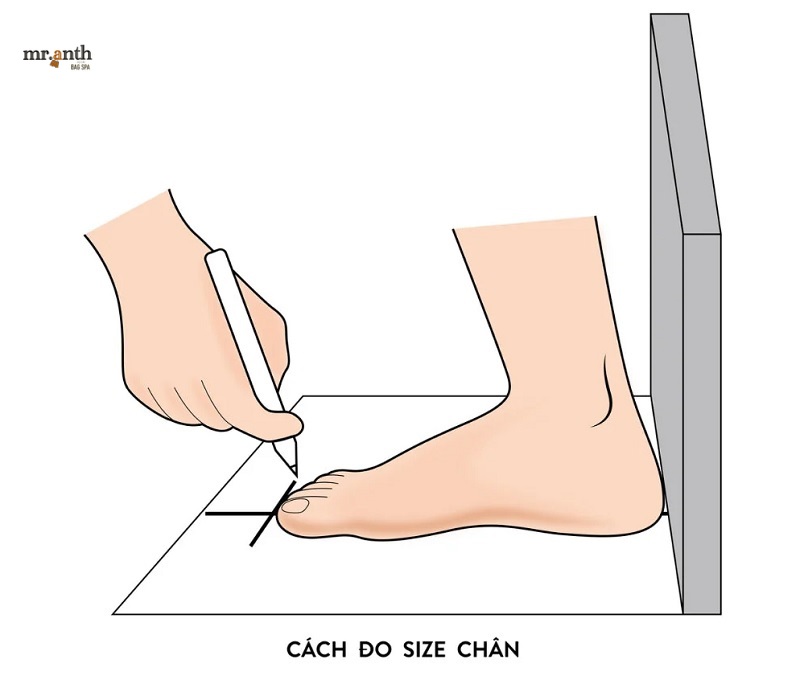 Hướng dẫn cách đo chân chọn size giày đúng
