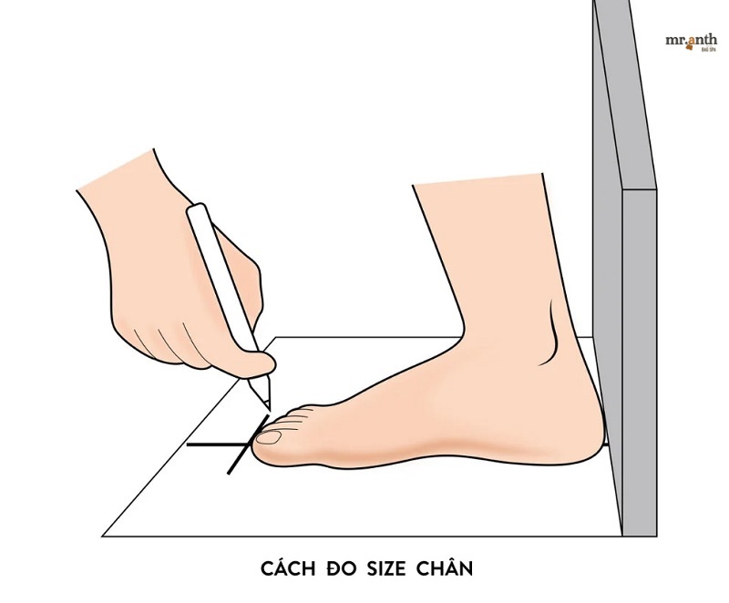 Hướng dẫn cách đo độ dài bàn chân
