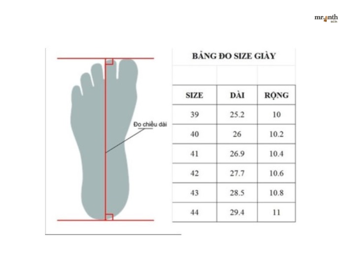 Bảng size giày nữ