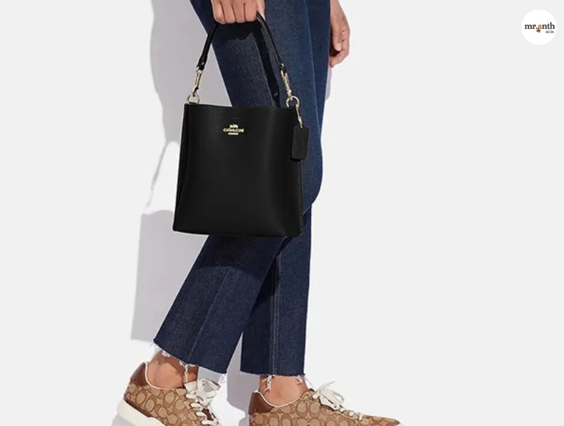 Túi Coach size 22
