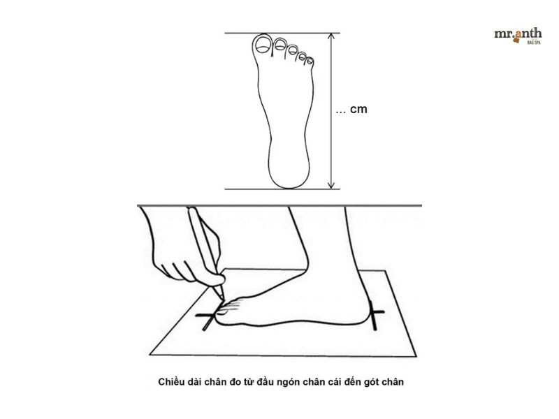 Cách đo kích thước bàn chân chuẩn xác