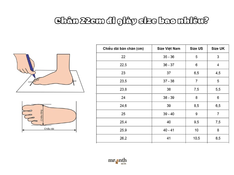 Chân 22cm đi giày size bao nhiêu?