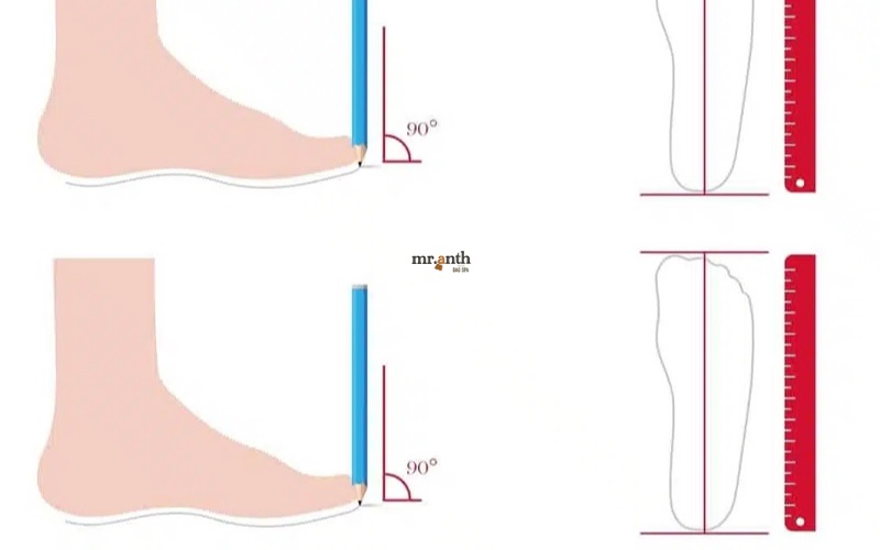 Hướng dẫn cách đo bàn chân chính xác