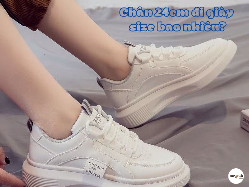 Chân 24cm đi giày size bao nhiêu?