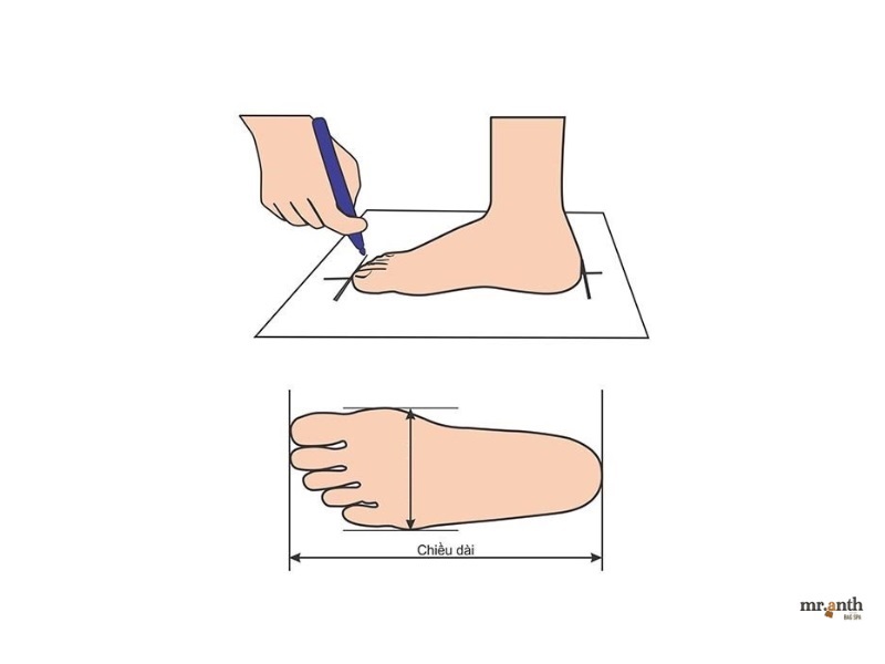 Cách đo bàn chân chính xác trước khi mua giày