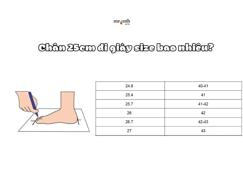 Chân 25cm đi giày size bao nhiêu?