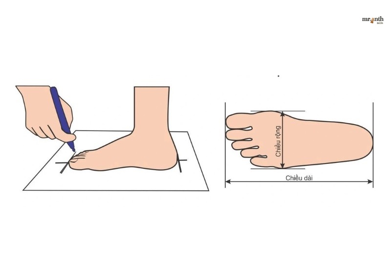 Hướng dẫn đo size bàn chân chính xác
