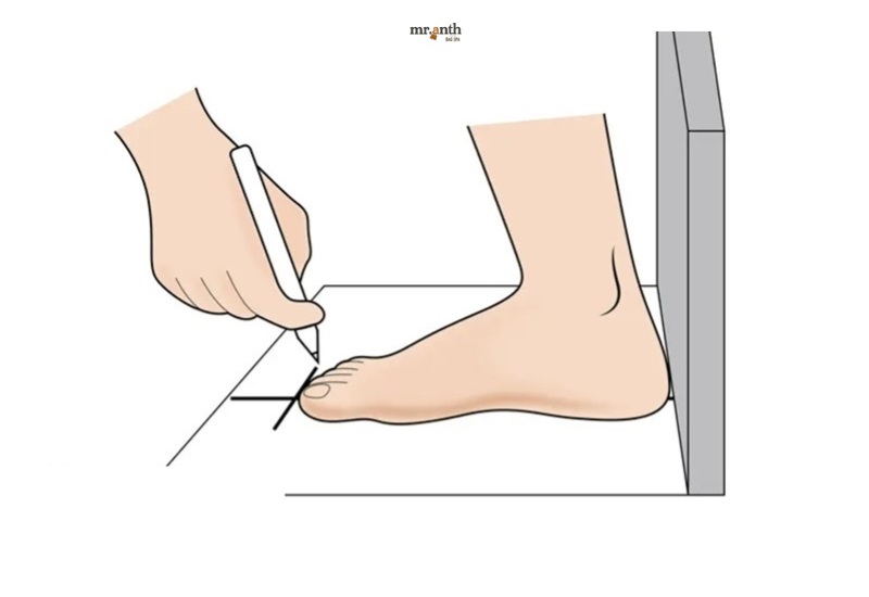 Hướng dẫn cách đo size chân phù hợp