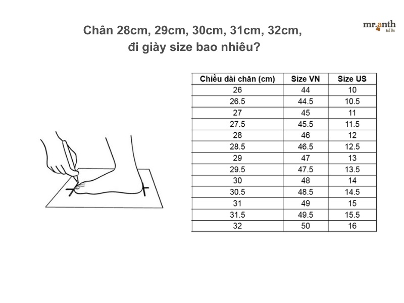 Chân 28cm, 29cm, 30cm, 31cm, 32cm, đi giày size bao nhiêu?