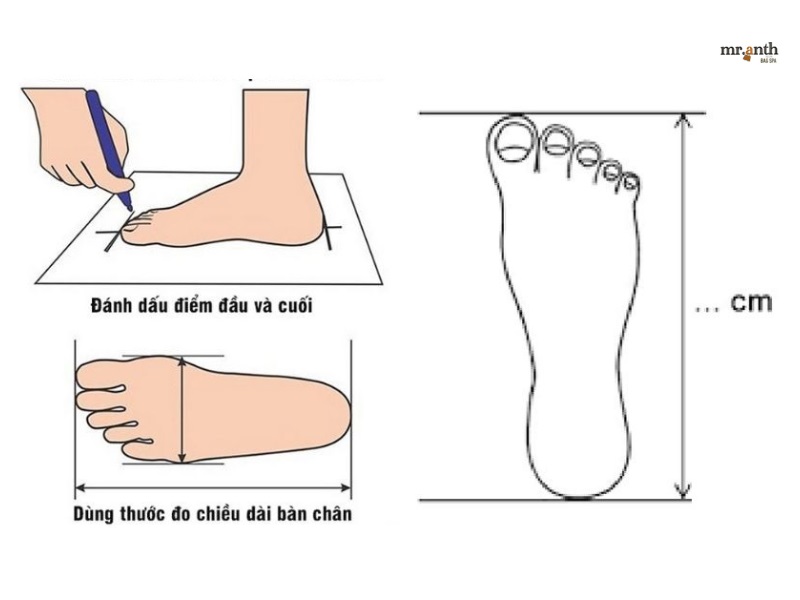 Hướng dẫn cách đo bàn chân tại nhà