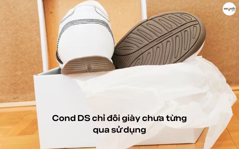 Thuật ngữ liên quan đến Cond